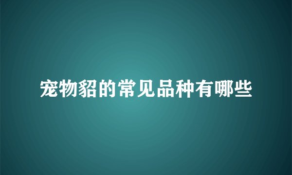 宠物貂的常见品种有哪些