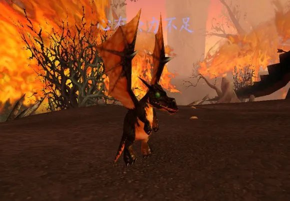 《魔兽世界》tbc怀旧服变身道具大全