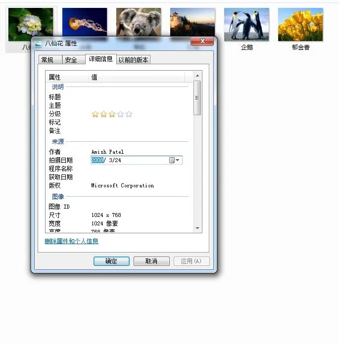 XP系统鼠标放在相片上的照相时间怎么修改