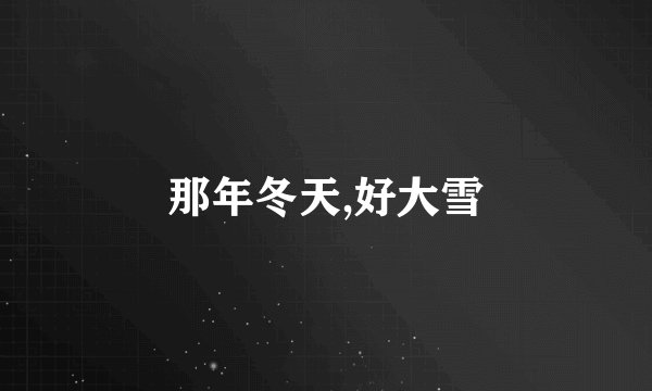 那年冬天,好大雪