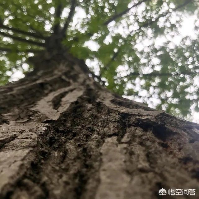 在南京的90后都从事什么行业？过得怎么样？