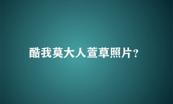 酷我莫大人萱草照片？