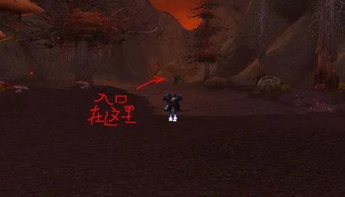 魔兽世界的“黎明之光”任务怎么做？