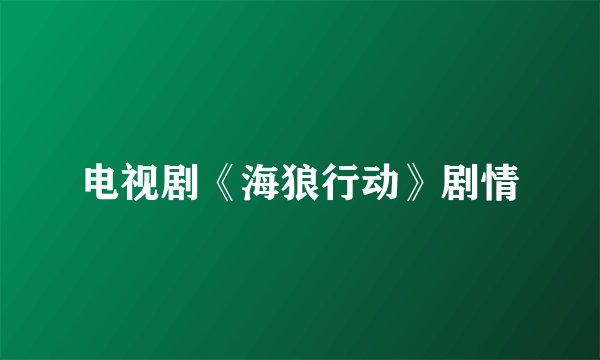 电视剧《海狼行动》剧情