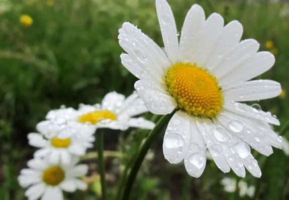 一甲子多少年 一甲子是什么意思