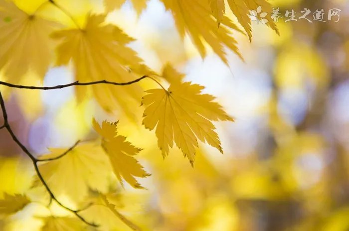 爱茉莉全天候粉底液色号有哪些？allday粉底液试色[图]