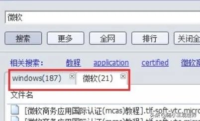 vagaa的设置技巧和搜索方法?