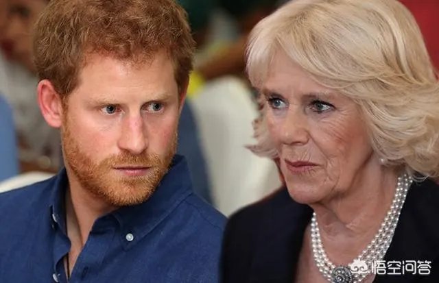 威廉和哈里两位王子和卡米拉的关系怎样？
