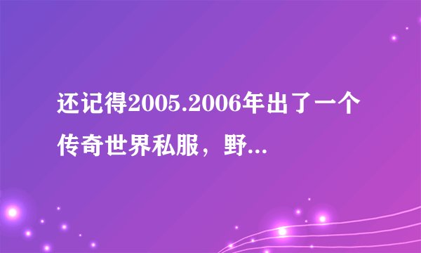 还记得2005.2006年出了一个传奇世界私服，野外刷小泉纯二狼的怪，极品大爆？