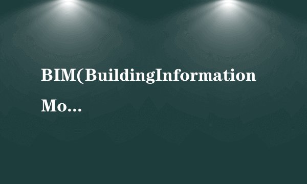 BIM(BuildingInformationModeling)的概念是（）。