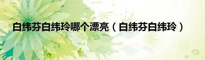 白纬芬白纬玲哪个漂亮（白纬芬白纬玲）