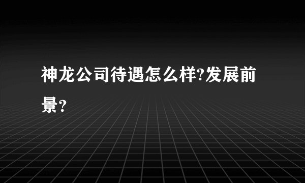 神龙公司待遇怎么样?发展前景？