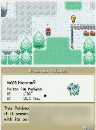 《口袋妖怪织女星》一周目攻略大全分享