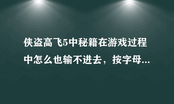 侠盗高飞5中秘籍在游戏过程中怎么也输不进去，按字母时它只是操作游戏而已！急！！！！！