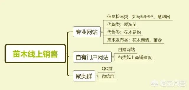 怎么在网上买到真苗木