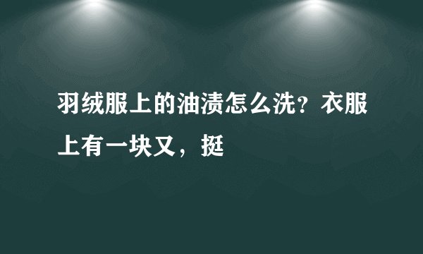 羽绒服上的油渍怎么洗？衣服上有一块又，挺