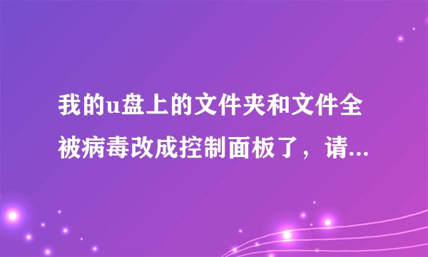 我的u盘上的文件夹和文件全被病毒改成控制面板了，请问各位有没有解决方案？