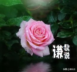 白酒股真的像大家说的那样，散户都不敢接盘，出不了货一直拉升吗？