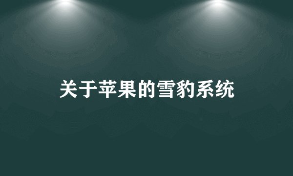 关于苹果的雪豹系统