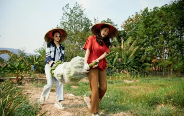 如何看待陶虹在《向往的生活》中只吃素食？