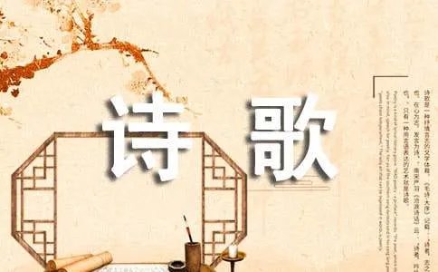 淡定的人不寂寞现代诗歌