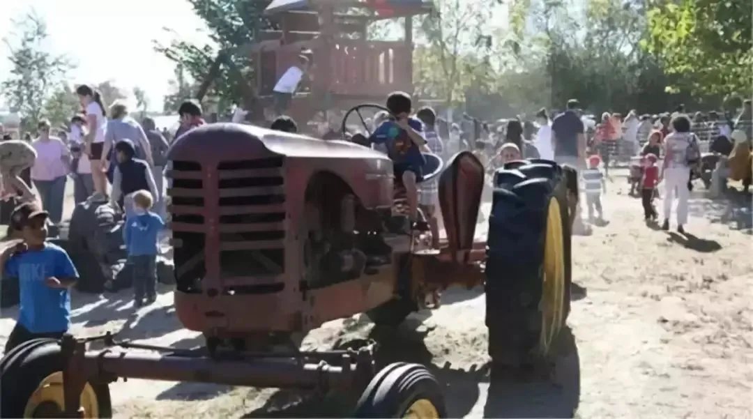 废物利用:脑洞大开的乡村景观