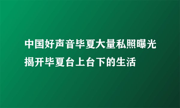 中国好声音毕夏大量私照曝光揭开毕夏台上台下的生活