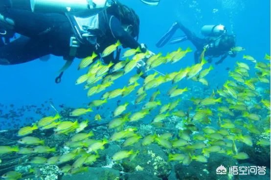 去巴厘岛度蜜月，大概要带多少钱？