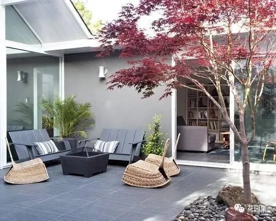 疫情还未结束，造园人在家能学哪些技能？