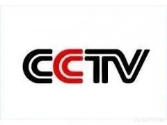 有人说奔驰车事件澎湃和央视出来报道后，其余的什么网站报社都一下子出来了？为什么？