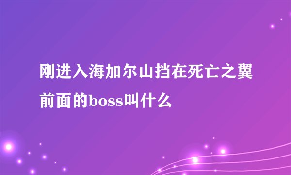 刚进入海加尔山挡在死亡之翼前面的boss叫什么