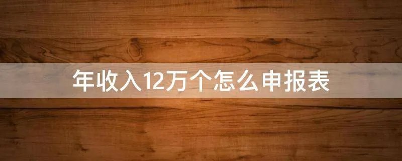 年收入12万个怎么申报表