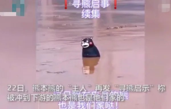 重庆还有一只熊本熊在漂流？