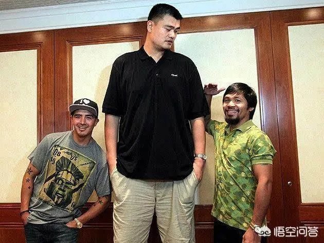 你觉得NBA球星和姚明一起合影会是什么效果？