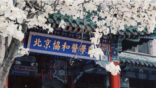 国内学医学校排名