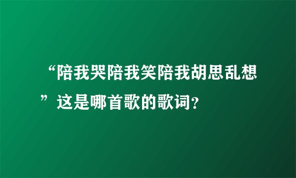 “陪我哭陪我笑陪我胡思乱想”这是哪首歌的歌词？