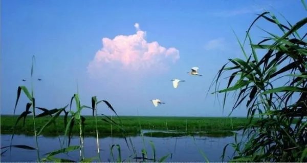 殊途同归打一数字