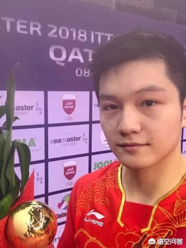 樊振东卡塔尔公开赛为林高远复仇，夺冠后首登世界第一，你如何看？