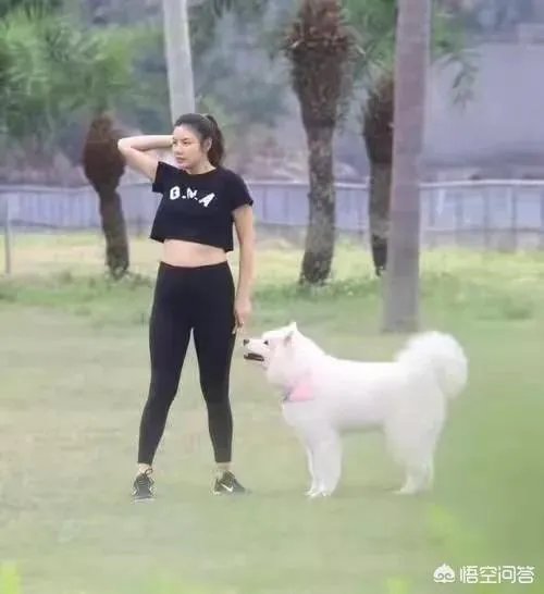 乐基儿宣布再婚嫁富豪，为什么黎明HOLD不住前妻？