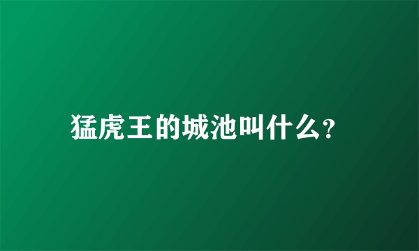 猛虎王的城池叫什么？
