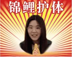 锦鲤已经过时了！猪年祈福认准“三鲤豚”