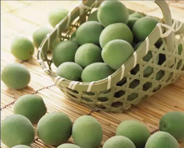 酵素梅有什么功效