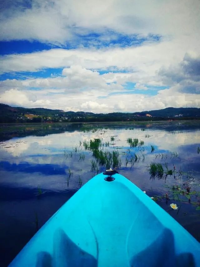 2016 年,你拍过最棒的图片是哪一张?