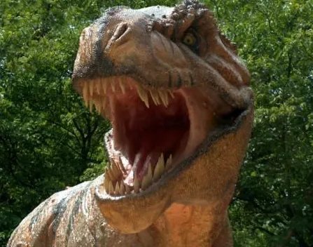 世界上最厉害的恐龙是什么龙?