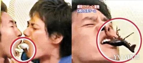 日本综艺节目尺度无下限日本人气综艺节目经典代表