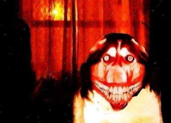 微笑狗的传说是真的吗，看了好害怕？