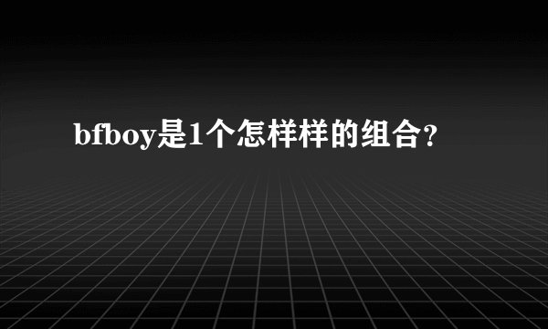 bfboy是1个怎样样的组合？