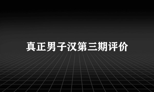 真正男子汉第三期评价