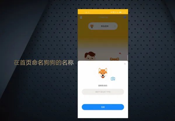 怎么使用狗狗语言翻译器呢