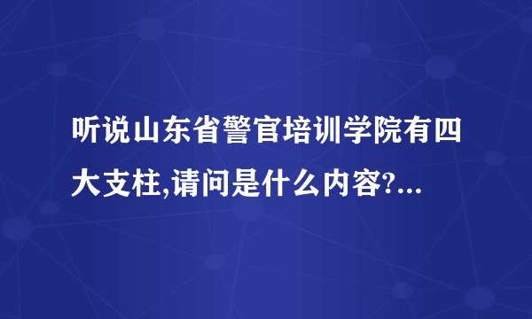 听说山东省警官培训学院有四大支柱,请问是什么内容?发展前景如何